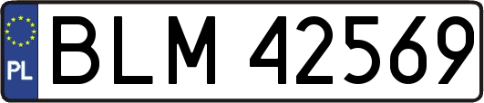 BLM42569