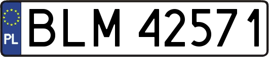 BLM42571