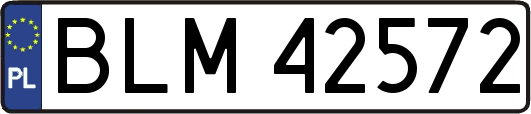 BLM42572