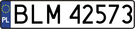 BLM42573
