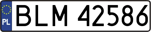 BLM42586