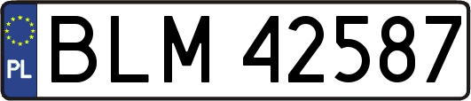 BLM42587