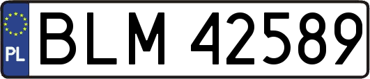 BLM42589