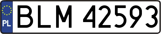 BLM42593