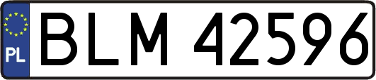 BLM42596