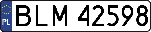 BLM42598
