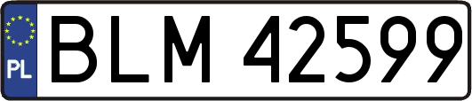BLM42599