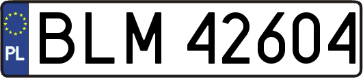 BLM42604