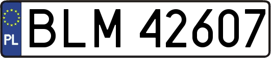 BLM42607