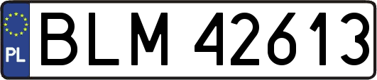 BLM42613