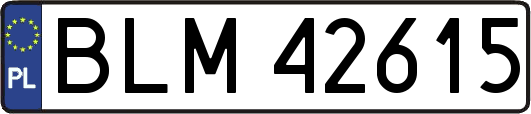 BLM42615