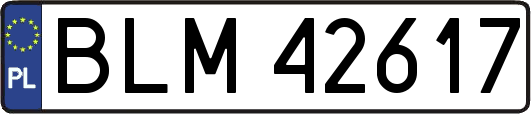 BLM42617