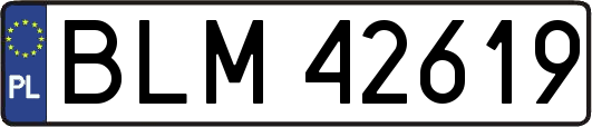 BLM42619