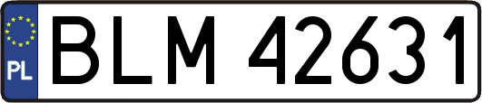 BLM42631