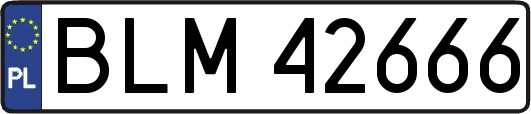 BLM42666