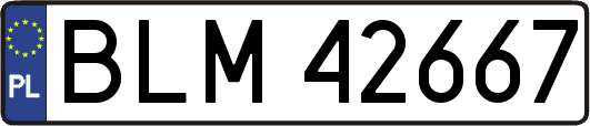BLM42667