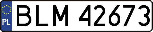 BLM42673