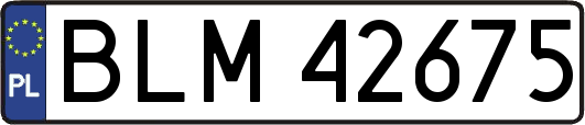 BLM42675