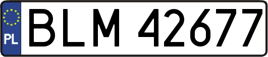 BLM42677