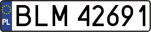BLM42691