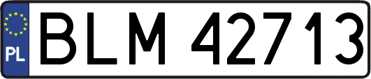 BLM42713