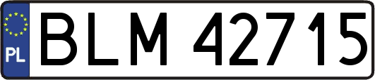 BLM42715
