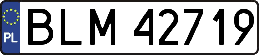 BLM42719