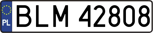 BLM42808