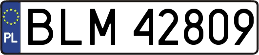 BLM42809