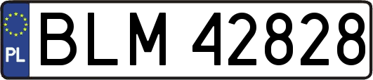 BLM42828