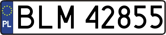 BLM42855