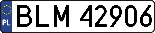 BLM42906