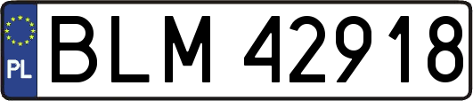 BLM42918