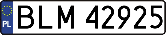 BLM42925