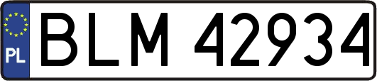 BLM42934
