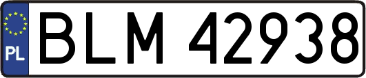 BLM42938