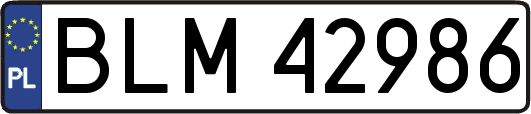 BLM42986