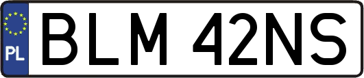 BLM42NS