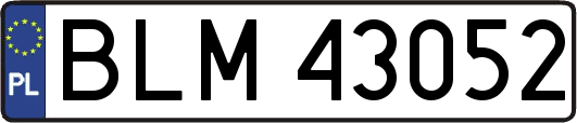 BLM43052