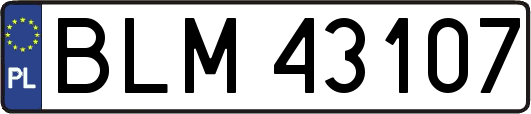 BLM43107