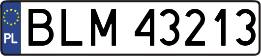 BLM43213
