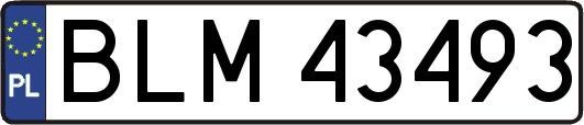 BLM43493