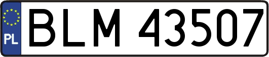 BLM43507