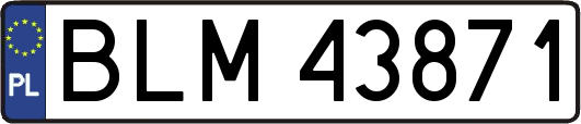 BLM43871