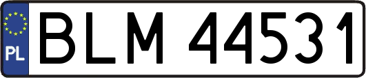 BLM44531