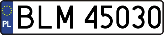BLM45030