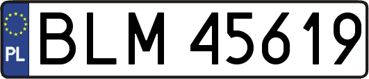 BLM45619
