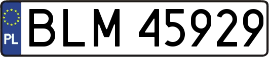 BLM45929