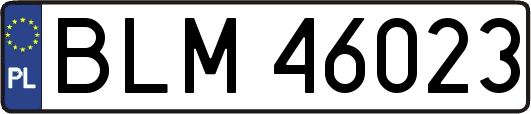 BLM46023