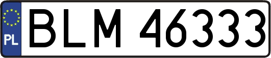 BLM46333